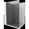 Mexen Kioto L Walk-in zuhanykabin 100 x 200 cm, grafit, arany - 800-100-103-50-40