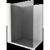 Mexen Kioto L Walk-in zuhanyfal 100 x 200 cm, grafit, arany kefélt - 800-100-103-55-40